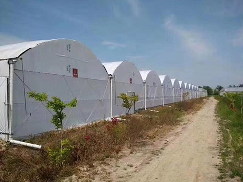 钢管养殖大棚建设