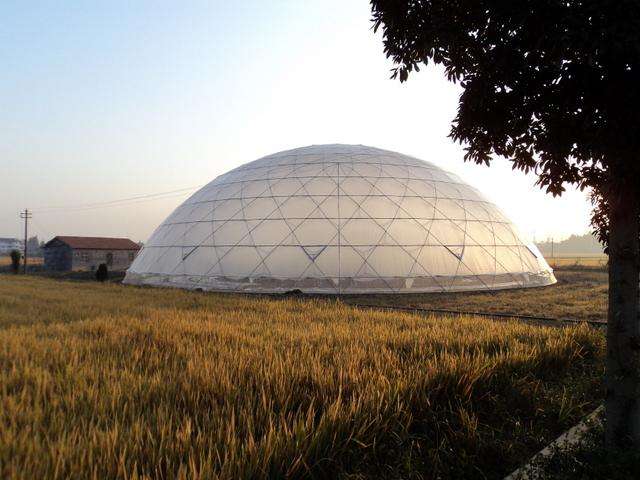 球形温室大棚造价