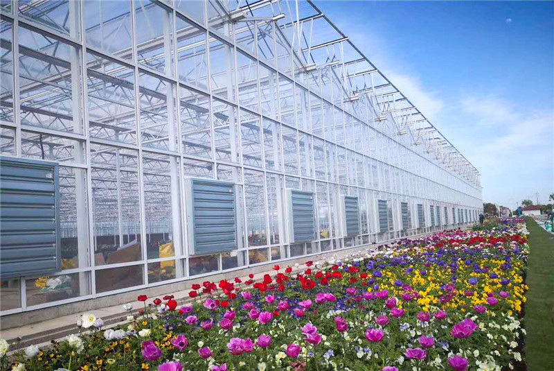 现代农业智能温室